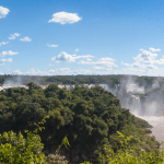 Monise Alencar Martins