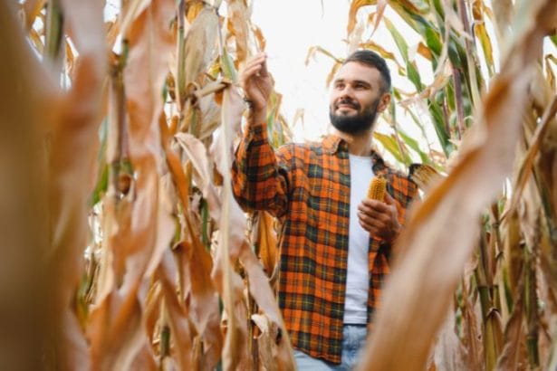 Agenor Vicente Pelissa