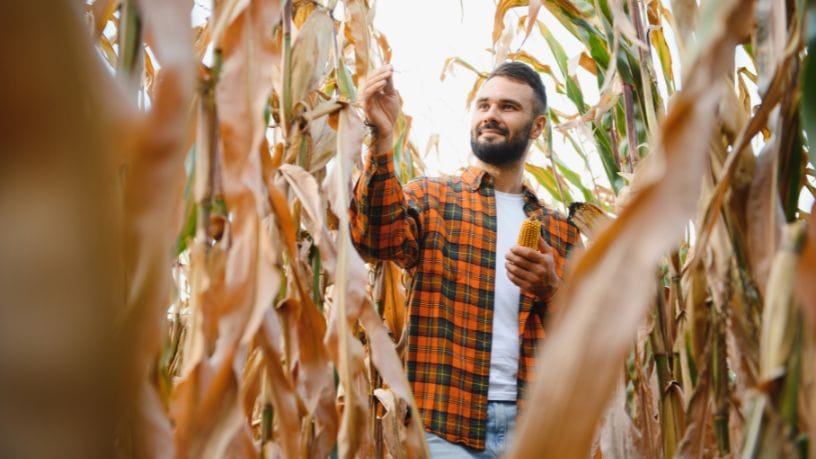 Agenor Vicente Pelissa