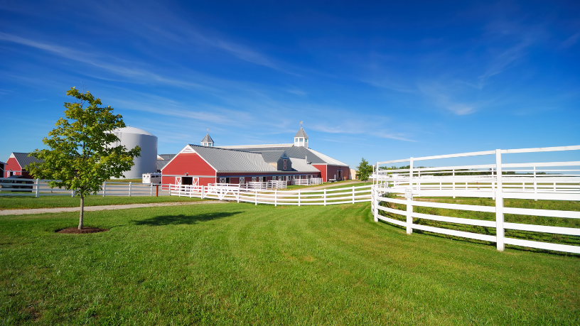 Aldo Vendramin afirma que o mercado de biodefensivos no Brasil deve ganhar escala e competitividade em 2026.